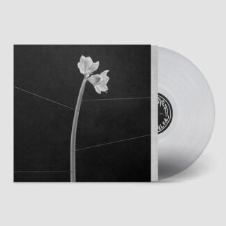Dreamweaver (Clear LP)