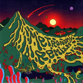 Forever Remixes - 12'