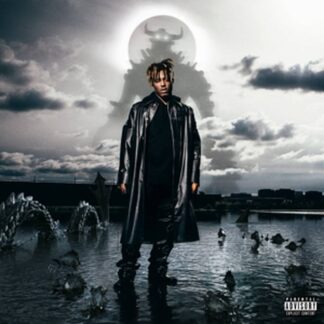 Fighting Demons (2LP)
