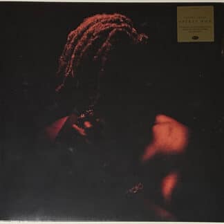 Flying Lotus – Spirit Box