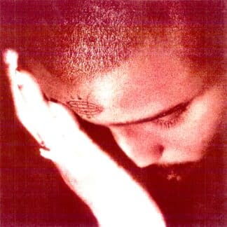 The Passionate Ones (LP clear indies exclusive)