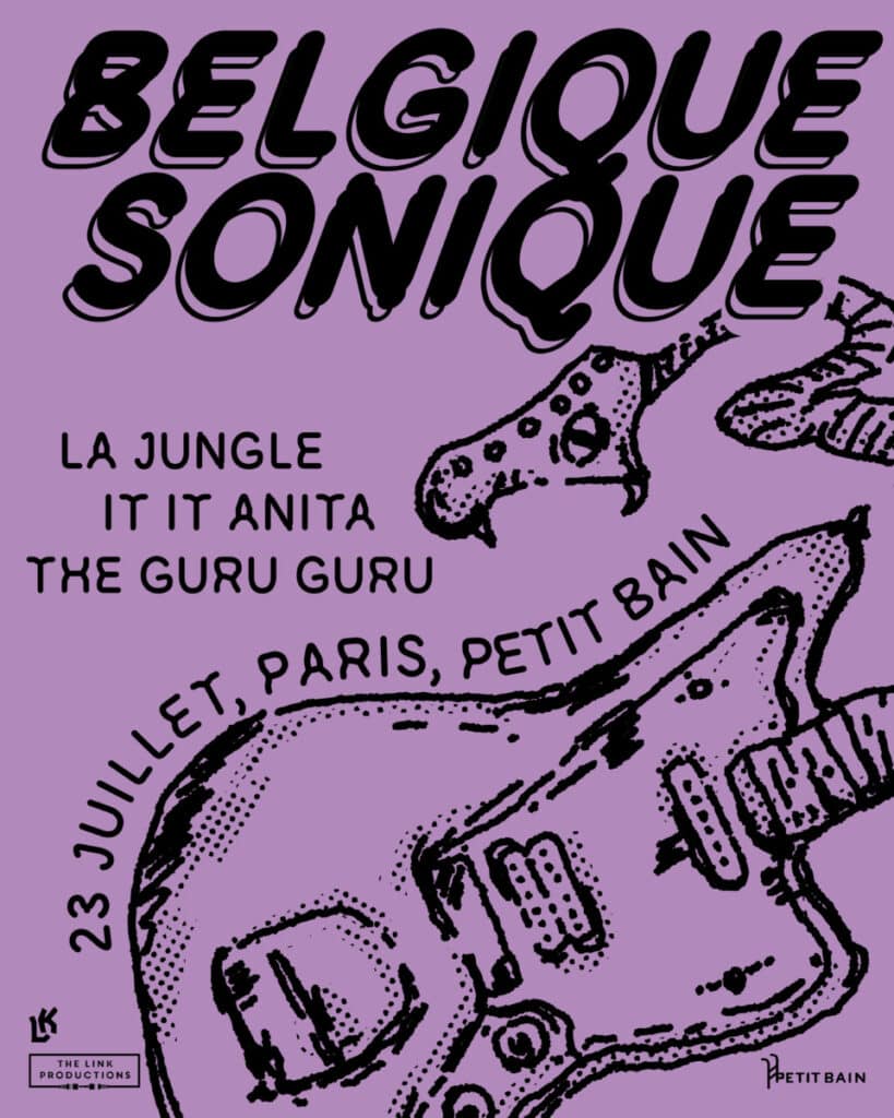 belgique sonique