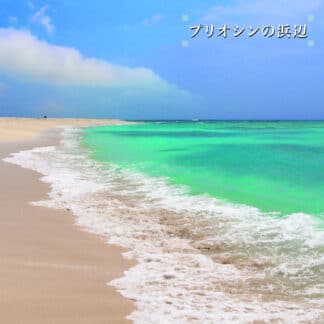Beach of the Pliocene (2LP w/ obi strip)