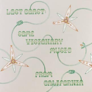 Various – Lost Coast: Some Visionary Music from California, 1980–1992