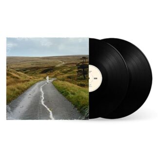 The Loop (2LP)