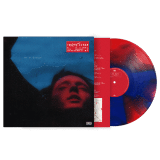 In a Dream (5th Anniversary) (LP color)