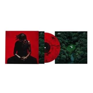 House of Birds (LP red)