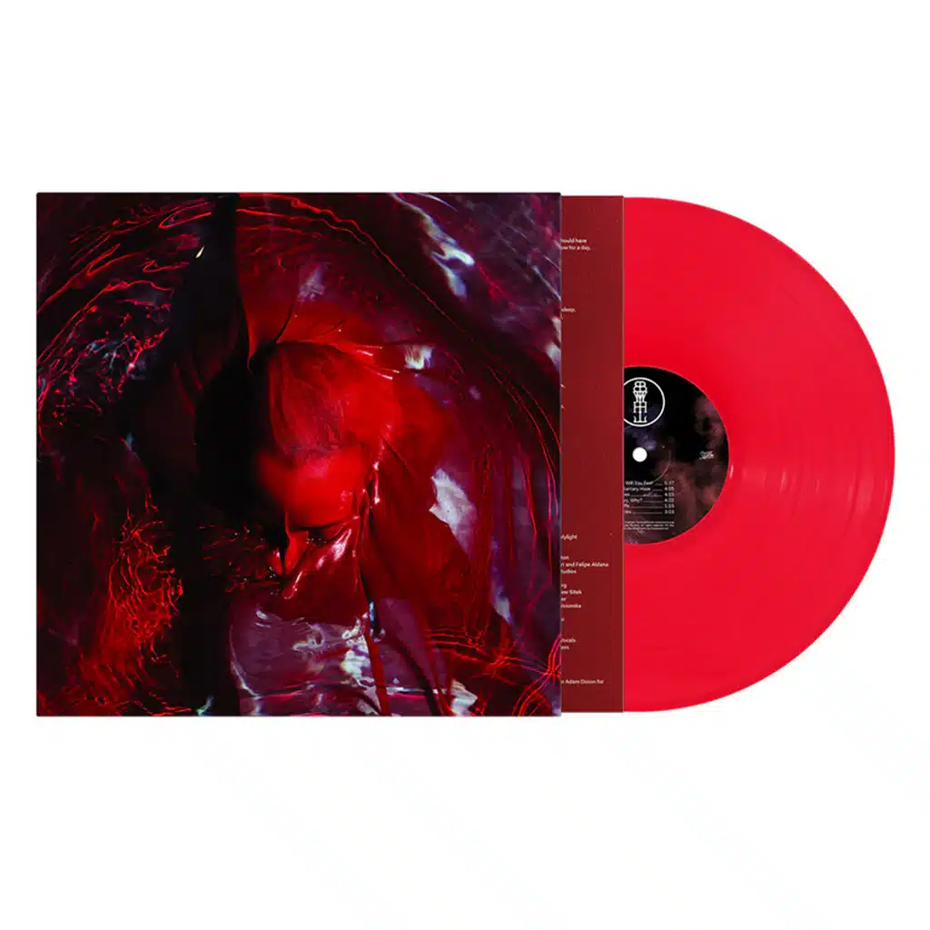 Not Here Not Gone (LP red)