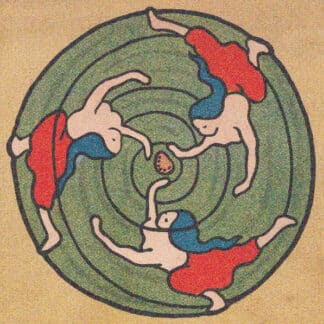 Palestre – Sciogli Assurdi