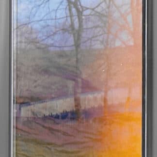 Eyetrees (Cassette)