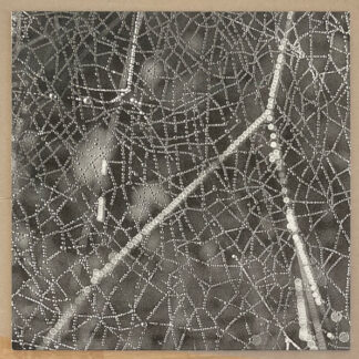 RS Tangent* – Crinkle