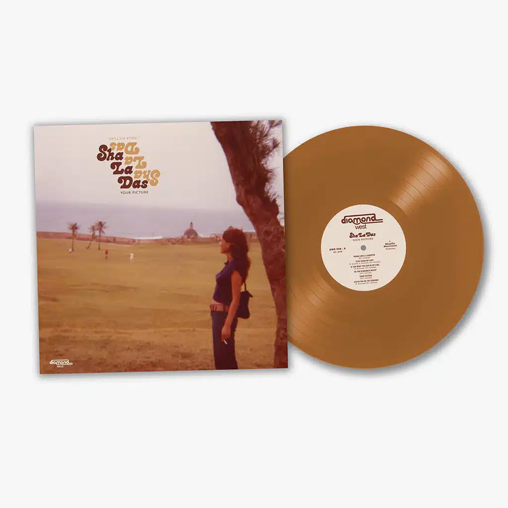 Your Picture (LP brown)
