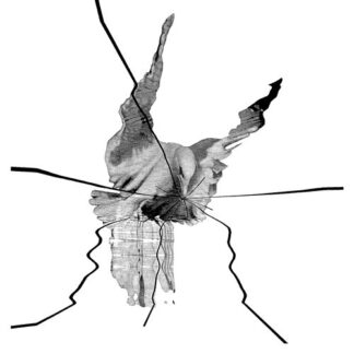 Interform Untunnel