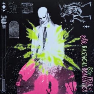 The Year Of The Radical Romantics (2LP)