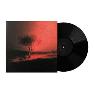 Piss in the Wind (LP black)