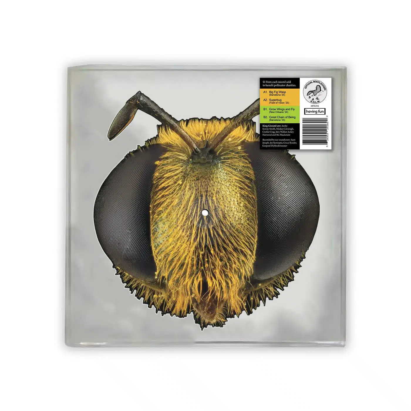 Big Fig Wasp (Bug-shaped picture disc)