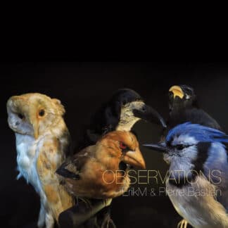 Observations (LP color)