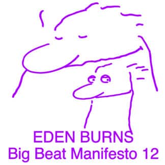 Big Beat Manifesto Vol. XII (12")