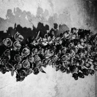 Dona – Mindscapes