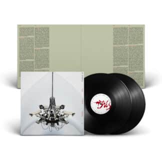 This Mirror Weighs a Ton (2LP black)