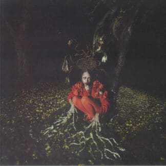 Damsel Elysium – Whispers From Ancient Vessels
