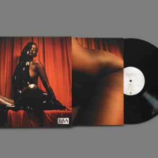 Take Me Apart (1LP)