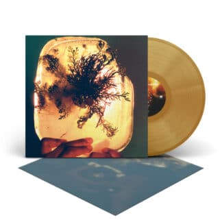 Fata Morgana (LP gold)