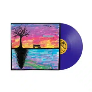 Kind (LP purple)