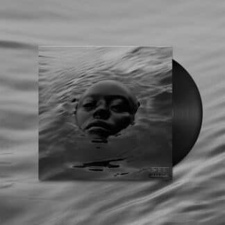 Raven (2LP black)