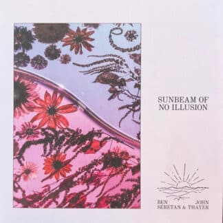 Sunbeam Of No Illusion