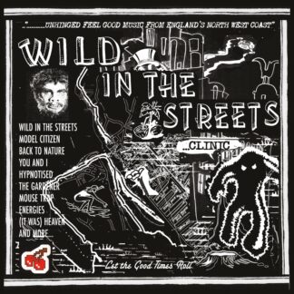 Wild in the Streets