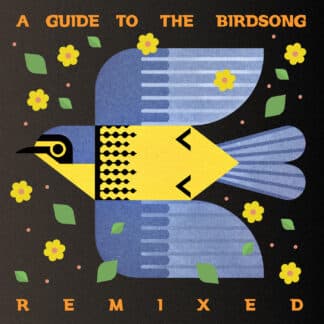 A Guide to the Birdsong Remixed