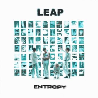 Entropy (LP white)