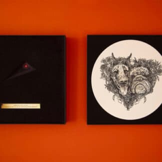 Hounds Of Love (Lost At Sea Edition) (BOX)