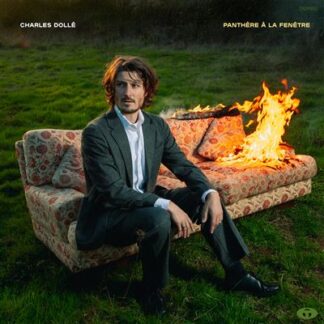 Panthère à la fenêtre (LP)