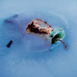 SPS26113