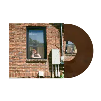 Observing Chaos (LP brown)