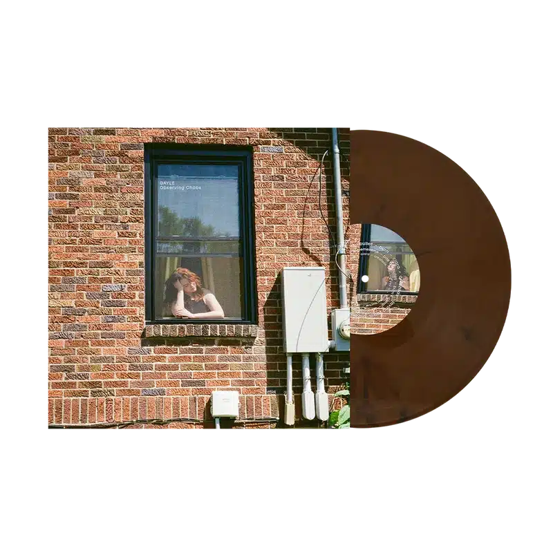 Observing Chaos (LP brown)