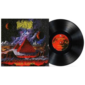 Absolute Elsewhere (LP black)