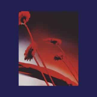 Nothing Ever Was (Compiled by DJ Sundae)