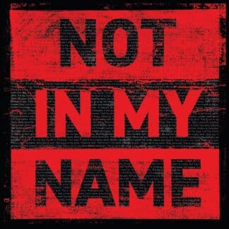 Not in My Name (2LP)