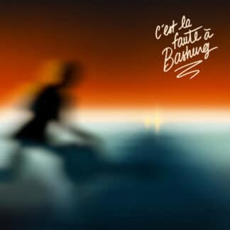 C'est la faute à Bashung (2LP)