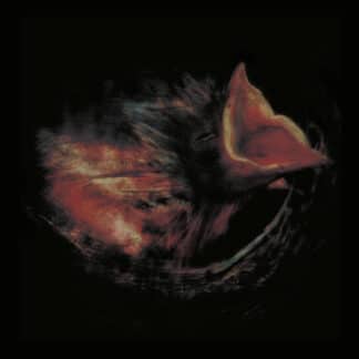 Nobody's Coming to Save You (LP black)